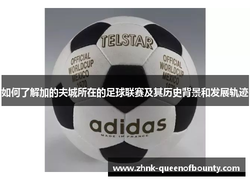 如何了解加的夫城所在的足球联赛及其历史背景和发展轨迹