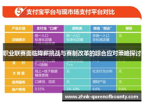 职业联赛面临降薪挑战与赛制改革的综合应对策略探讨