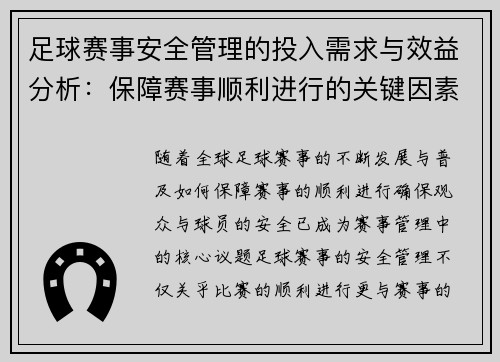 足球赛事安全管理的投入需求与效益分析：保障赛事顺利进行的关键因素
