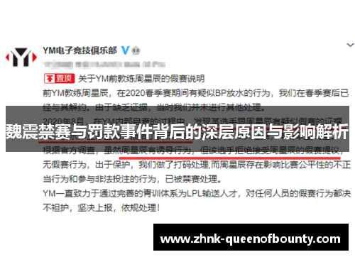 魏震禁赛与罚款事件背后的深层原因与影响解析